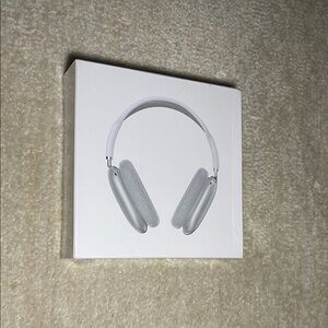 Silver Headphones